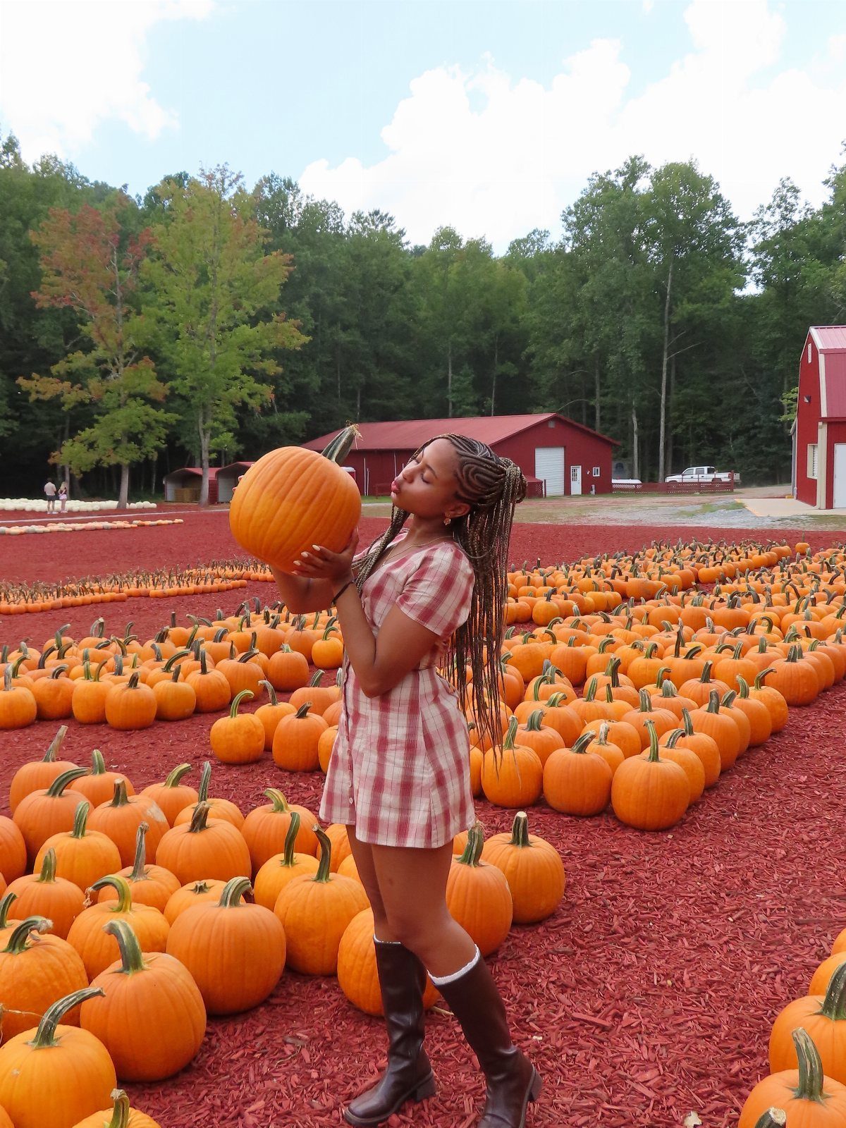 A woman in a plaid dress holds a large pumpkin in a field of orange pumpkins.